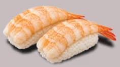Shrimp Nigiri