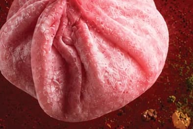 Wagashi Mochi
